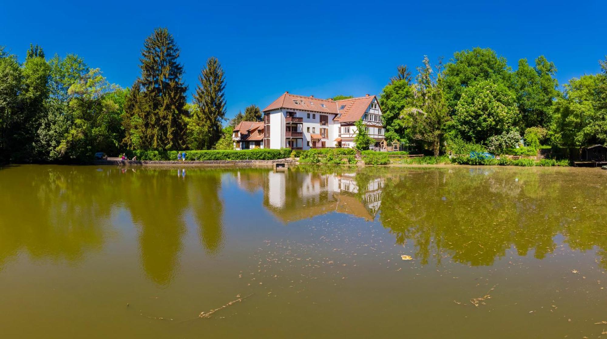 Einliegerwohnung In Einer Muehle Vor Den Toren Frankfurts, Ideal Fuer Messegaeste Oder Stop Over Dreieich Exterior foto
